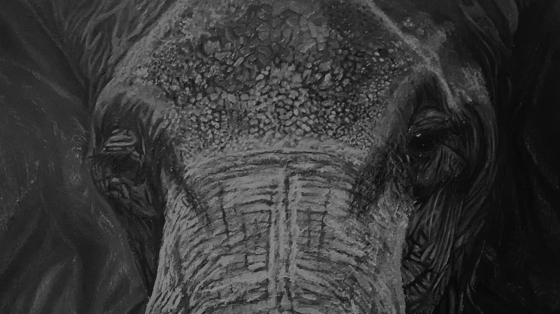 Textura de elefante artística