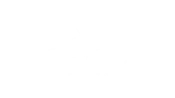 Pajarillo Trigueño - Galeria Arte Creativo